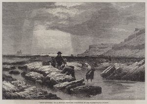 Cazadores de cangrejos de Edward Duncan